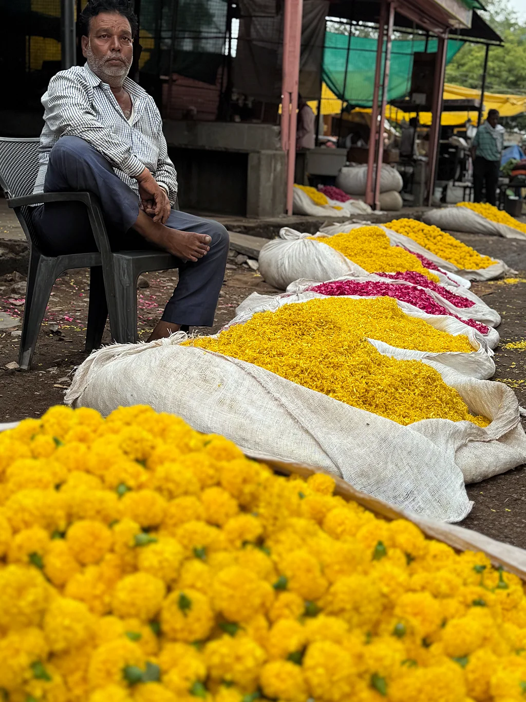 Flower Market